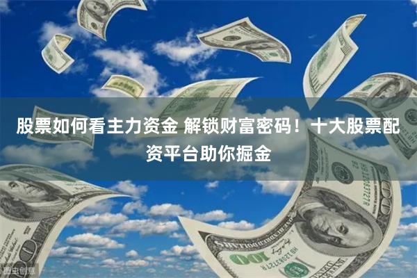 股票如何看主力资金 解锁财富密码！十大股票配资平台助你掘金