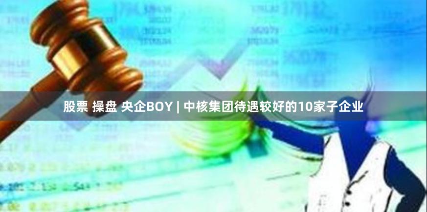 股票 操盘 央企BOY | 中核集团待遇较好的10家子企业