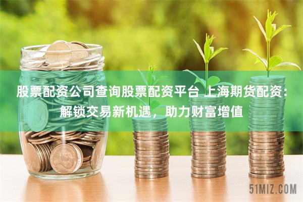 股票配资公司查询股票配资平台 上海期货配资：解锁交易新机遇，助力财富增值