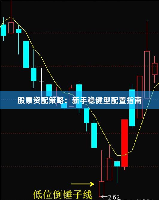股票资配策略：新手稳健型配置指南