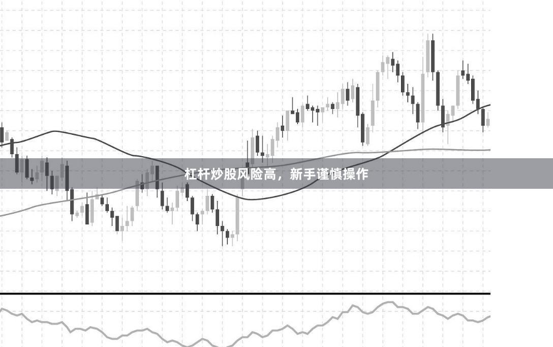 杠杆炒股风险高，新手谨慎操作
