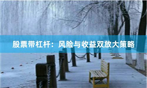 股票带杠杆：风险与收益双放大策略